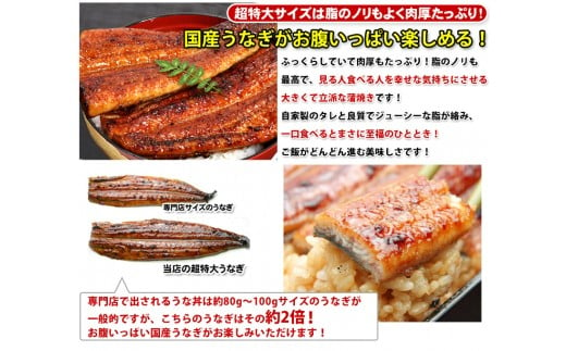 632.【数量限定】超特大サイズ国産うなぎ蒲焼き2本セット （230～249g×2本）(A632-2)