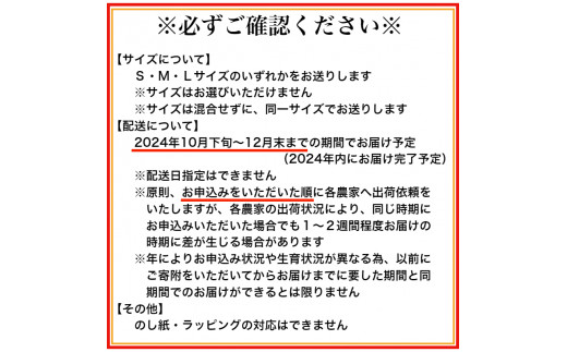 1.有田市認定みかん「未来への虹」至宝(5kg)【日本初自治体認定フルーツ】(A1-2) 