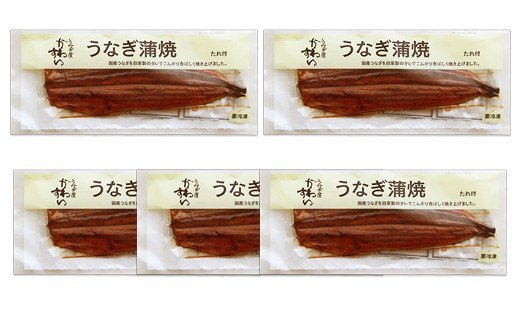 489.【うなぎ屋かわすい】超特大サイズ国産うなぎ蒲焼き5本セット（合計1kg）(A489-1)