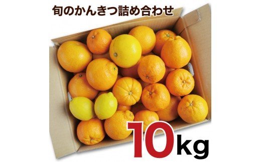 145.訳アリ 旬のかんきつ詰め合わせ 10kg(A145-2)