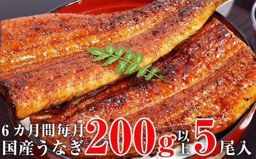 592.【定期便・うなぎ屋かわすい】国産うなぎ蒲焼き超特大サイズ５本セット（６ヶ月お届け）(A592-1)