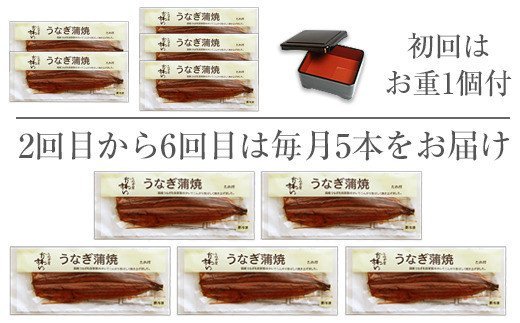 592.【定期便・うなぎ屋かわすい】国産うなぎ蒲焼き超特大サイズ５本セット（６ヶ月お届け）(A592-1)