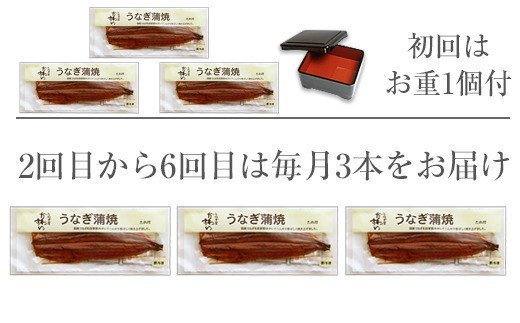 585.【定期便・うなぎ屋かわすい】国産うなぎ蒲焼き特大サイズ３本セット（６ヶ月お届け）(A585-1)