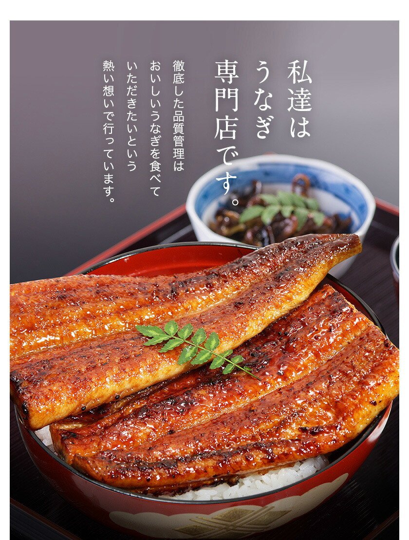 489.【うなぎ屋かわすい】超特大サイズ国産うなぎ蒲焼き5本セット（合計1kg）(A489-1)