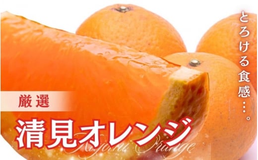 ＜2月より発送＞厳選 清見オレンジ5kg+150g（傷み補償分）【光センサー食頃出荷】【樹上完熟きよみオレンジ・清見タンゴール・清美】 ※北海道・沖縄・離島への配送不可【ikd198】