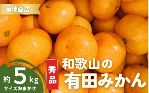 【11月発送】秀品 有田みかん 和歌山県産 S～Lサイズ 大きさお任せ 5kg / みかん フルーツ 果物 くだもの 有田みかん 蜜柑 柑橘【ktn002-11】