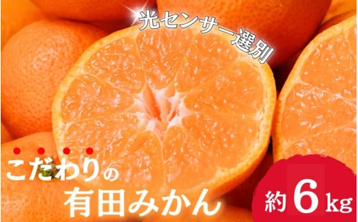 [11月発送]＼光センサー選別/農家直送 こだわりの完熟有田みかん 約6kg+250g(傷み補償分) [ご家庭用]みかん ミカン 有田みかん 温州みかん 柑橘 有田 和歌山 産地直送[nuk102-1]