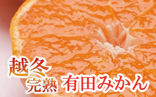 家庭用　越冬完熟みかん1kg+30g（傷み補償分）【ハウスみかん】【わけあり・訳あり】【光センサー選別】＜1月中旬より順次発送予定＞【ikd178】