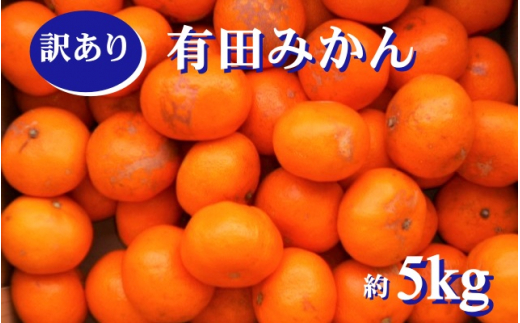 紀州有田みかん 訳あり 約5kg キズ ご家庭用 サイズ混合　※2024年12月上旬頃より順次発送予定　※北海道・沖縄・離島配送不可【sml130】