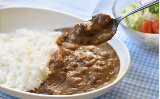 熊野牛の牛すじを使ったこだわりの手作りカレー 200g×4袋/カレー 肉 牛 牛すじ 熊野牛 ブランド 和牛 高級和牛 冷凍 通年 手作り うまい 逸品 おかず 牛すじカレー【okd005】