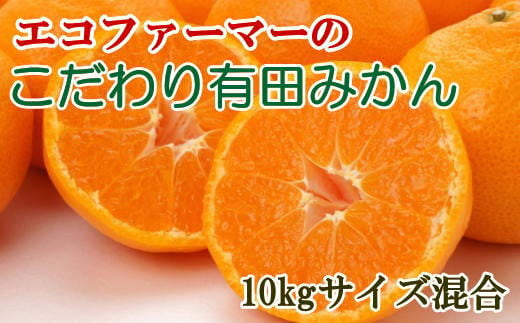 エコファーマーのこだわり有田みかん約10kg(サイズ混合)  ※2024年11月中旬〜2025年1月中旬頃順次発送（お届け日指定不可）【tec950】