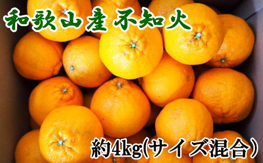 和歌山県産不知火約4kg（サイズ混合） ※2025年2月下旬〜2025年3月中旬頃に順次発送予定（日付指定不可）【tec957】