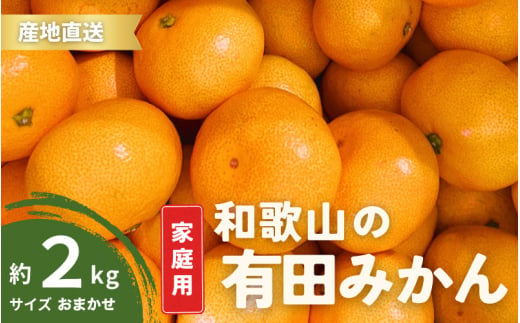 【11月発送】 ご家庭用 有田みかん 和歌山 S～Lサイズ 大きさお任せ 2kg / みかん フルーツ 果物 くだもの 有田みかん 蜜柑 柑橘【ktn005-11】