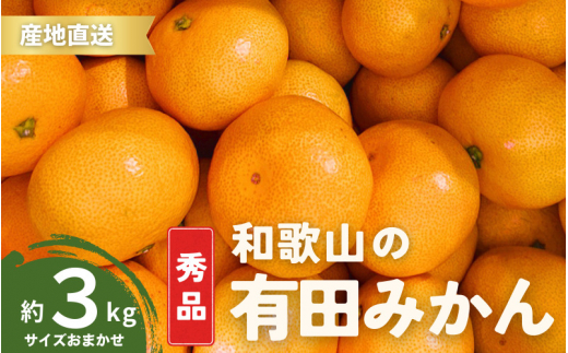 【1月発送】秀品 有田みかん 和歌山県産 S～Lサイズ 大きさお任せ 3kg / みかん フルーツ 果物 くだもの 有田みかん 蜜柑 柑橘【ktn001-1】