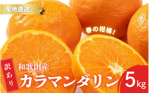 【先行予約】訳あり 有田 カラマンダリン なつみ 春のみかん 2S～3Lサイズ混合 5kg【2025年4月上旬～5月上旬までに順次発送予定】/ みかん フルーツ 果物 くだもの 蜜柑 柑橘【ktn021A】