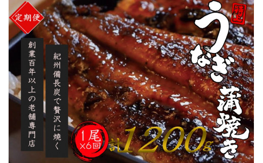 【全6回定期便】極上！国産うなぎ蒲焼 1尾×6回 計6尾 約1200g 創業100年以上続く老舗 紀州備長炭でじっくり焼き上げた専門店の味 （タレ・山椒付き）/ うなぎ ウナギ 鰻 蒲焼 国産 ふるさと納税【tkb316】