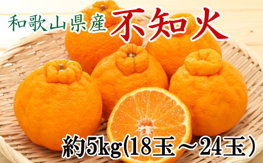 和歌山県産不知火約5kg（18玉〜24玉おまかせ） ※2025年2月下旬〜2025年3月中旬頃に順次発送予定（日付指定不可）【tec956】