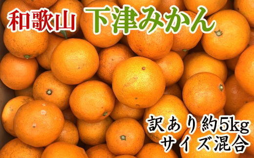 【訳あり】和歌山下津みかん約5kgご家庭用向け(サイズ混合)　※2024年11月中旬〜1月中旬頃順次発送予定（お届け日指定不可）【tec949】