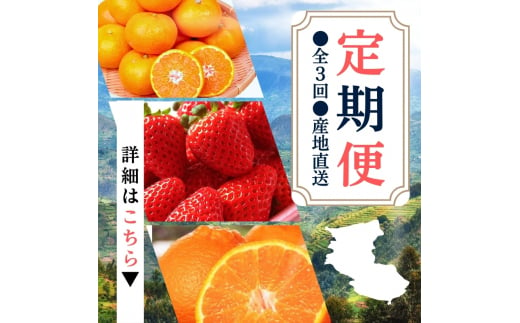 【定期便】●全3回● 産地直送 定期便【温州みかん・まりひめ・紀州デコ】 / フルーツ 果物 みかん いちご  旬 定期便  【tkb352】