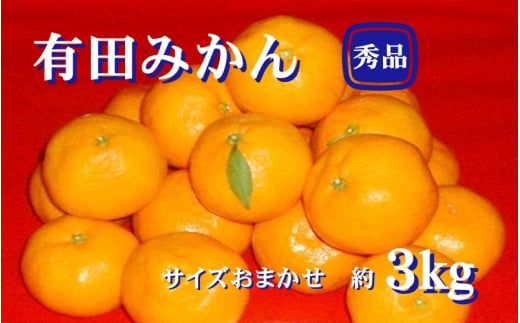 紀州有田みかん 秀品 ３kg（L・M・Sサイズおまかせ）　※2024年11月下旬頃より順次発送予定【sml128】