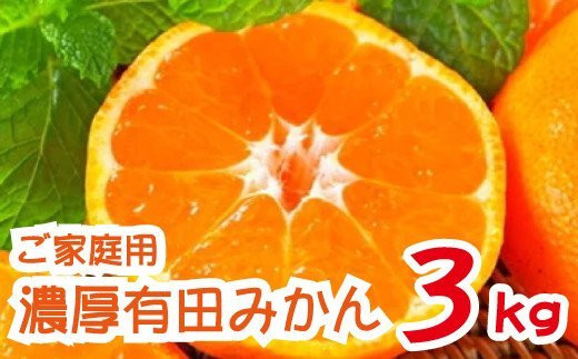 農園直送！完熟有田みかん　約3kg【12月発送】【ard002-2A-2】