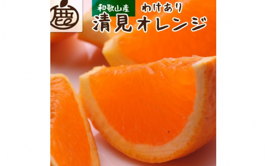 ＜2月より発送＞家庭用 清見オレンジ 2kg+60g（傷み補償分）【光センサー食頃出荷】【樹上完熟きよみオレンジ・清見タンゴール・清美】【わけあり・訳あり】 ※北海道・沖縄・離島への配送不可 フルーツ 果物 くだもの 柑橘【ikd164】