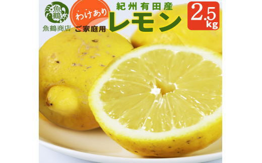 【ご家庭用訳あり】紀州有田産レモン　2.5kg【予約】※2025年3月上旬頃〜3月下旬頃に順次発送予定(お届け日指定不可) レモン れもん 果物 柑橘【uot777】