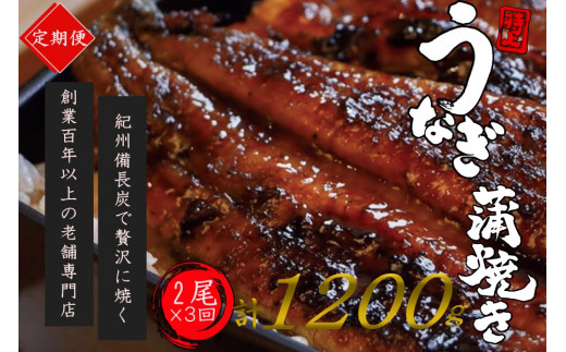 【全3回定期便】極上！国産うなぎ蒲焼 2尾×3回 計6尾 約1200g 創業100年以上続く老舗 紀州備長炭でじっくり焼き上げた専門店の味 （タレ・山椒付き）/ うなぎ ウナギ 鰻 蒲焼 国産 ふるさと納税【tkb318】