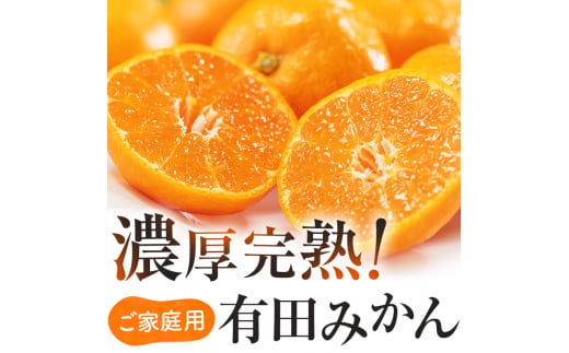 有田育ちのご家庭用完熟 有田みかん 2.2kg ※2024年11月上旬〜12月下旬頃に順次発送【ard201】