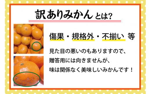 【訳あり】農家直送 有田みかん 約5kg ご家庭用 サイズ混合 ※2024年11月中旬から2025年1月中旬までに順次発送予定（お届け日指定不可）訳ありみかん 訳ありみかん 温州みかん 有機質肥料100% 柑橘 有田 産地直送【nuk161】