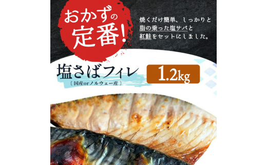 【全3回】大人気！ ご家庭用 塩さばフィレ＆紅鮭切身セットをたっぷりお届け定期便 / さば サバ 鯖 フィレ 鮭 サケ 切り身 切身 魚 海鮮 焼き魚 おかず 定期便【tkb356】