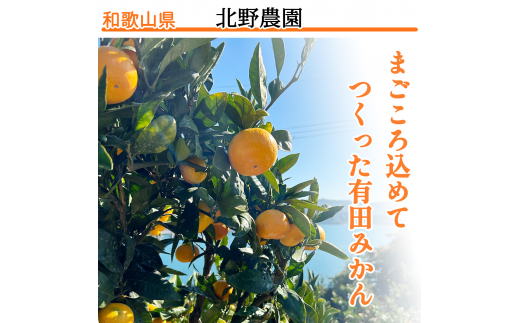 【10月発送】 ご家庭用 有田みかん 和歌山 S～Lサイズ 大きさお任せ 2kg / みかん フルーツ 果物 くだもの 有田みかん 蜜柑 柑橘【ktn005-10】