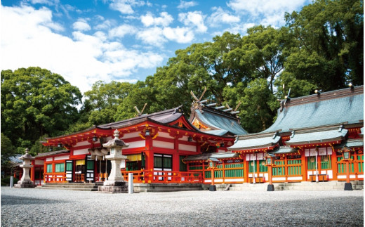 新宮市　ガイドと歩く歴史探訪ツアー　選べる史跡・神社など1カ所 / 熊野 世界遺産 天然記念物 自然 神社 【skk004】