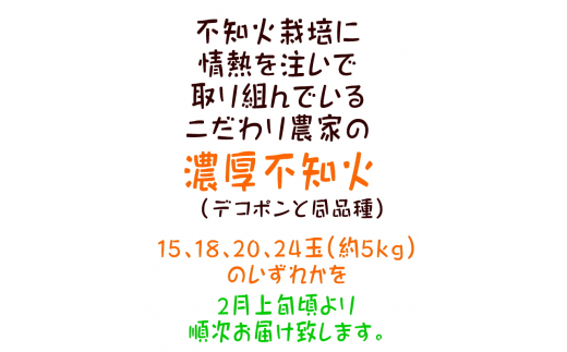 【先行予約】こだわり農家の濃厚不知火（デコポンと同品種） 約5kg (15〜24玉)　※2025年2月上旬〜3月下旬頃に順次発送予定 ※着日指定不可【ard065A】