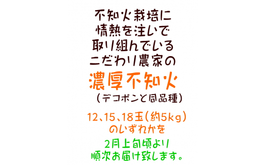 【先行予約】こだわり農家の濃厚不知火 約5kg (12〜18玉) みかん ミカン 蜜柑 果物 フルーツ 国産　※2025年2月上旬〜3月下旬頃に順次発送予定 ※着日指定不可【ard066A】