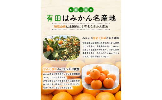 有田育ちのご家庭用完熟 有田みかん 2.2kg ※2024年11月上旬〜12月下旬頃に順次発送【ard201】