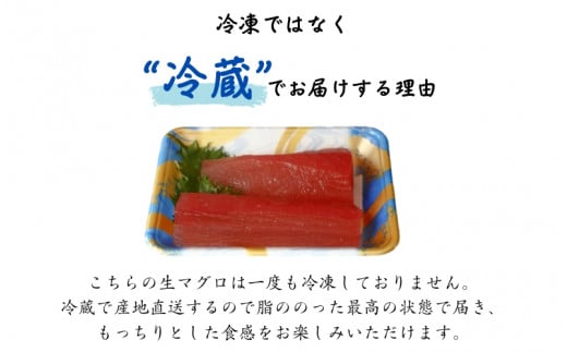 水揚げ高日本一！ 南紀勝浦産 生びんちょうまぐろ（刺身用サク) 約300g/マグロ まぐろ 鮪  ビンチョウマグロ びんながまぐろ 柵 刺身 冷蔵【nss406】