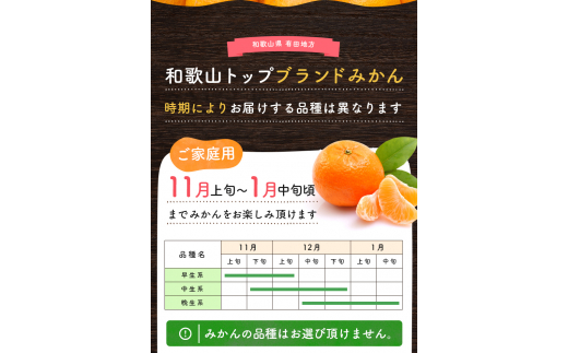 有田育ちのご家庭用完熟 有田みかん 2.2kg ※2024年11月上旬〜12月下旬頃に順次発送【ard201】