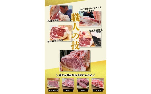 【全3回】尾呂志屋精肉店の和牛ぜいたく定期便  /  和牛 赤身 焼き肉 焼肉 牛肉 牛 精肉 【tkb401】