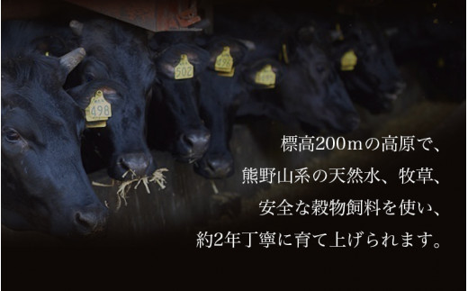 紀和牛すき焼き用ロース200g【冷蔵】 / 牛 牛肉 紀和牛 ロース すきやき 200g【tnk303-1】