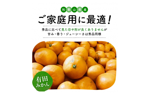 有田育ちのご家庭用完熟 有田みかん 6kg ※11月上旬〜12月下旬頃より順次発送　【ard186】