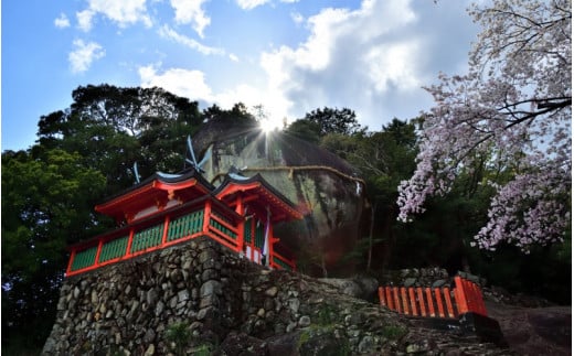 新宮市　ガイドと歩く歴史探訪ツアー　選べる史跡・神社など1カ所 / 熊野 世界遺産 天然記念物 自然 神社 【skk004】