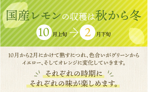 はぎファームのマイヤーレモン ３kg 【2024年10月~2025年3月下旬の期間で順次発送】 / レモン 国産 マイヤーレモン 数量限定 【hgf001A】