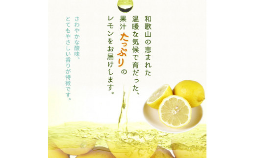 【ご家庭用訳あり】紀州有田産レモン　2.5kg【予約】※2025年3月上旬頃〜3月下旬頃に順次発送予定(お届け日指定不可) レモン れもん 果物 柑橘【uot777】