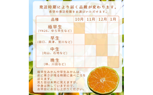 【12月発送】秀品 有田みかん 和歌山県産 S～Lサイズ 大きさお任せ 10kg / みかん フルーツ 果物 くだもの 有田みかん 蜜柑 柑橘【ktn003-12】