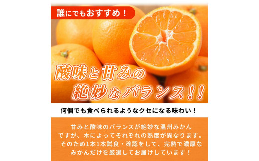 【先行予約】紀州有田産 濃厚完熟 温州みかん 5kg 【家庭用 訳あり】 ※2024年11月下旬頃〜2025年1月下旬頃に順次発送予定 / みかん ミカン 蜜柑 温州みかん 柑橘 フルーツ 果物 くだもの 和歌山【uot003】