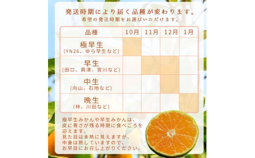 【1月発送】秀品 有田みかん 和歌山県産 S～Lサイズ 大きさお任せ 5kg / みかん フルーツ 果物 くだもの 有田みかん 蜜柑 柑橘【ktn002-1】 