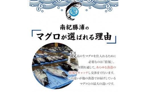 水揚げ高日本一！ 南紀勝浦産 生びんちょうまぐろ（刺身用サク) 約500g/マグロ まぐろ 鮪  ビンチョウマグロ びんながまぐろ 柵 刺身 冷蔵【nss407】