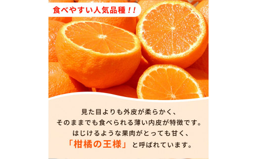 【先行予約】紀州有田産不知火(しらぬひ) 2.5kg ※2025年2月中旬頃〜3月中旬頃に順次発送予定（お届け日指定不可）/ みかん 不知火 和歌山 フルーツ 有田【uot794】