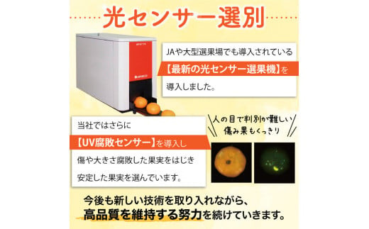 【2024年11月発送予約分】＼光センサー選別／農家直送 こだわりの完熟有田みかん 約8kg＋240g(傷み補償分) 【ご家庭用】【11月発送】【nuk100-1C】